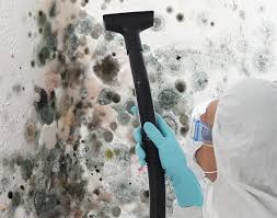 Point Lookout, NY Mold Removal & Remediation Company